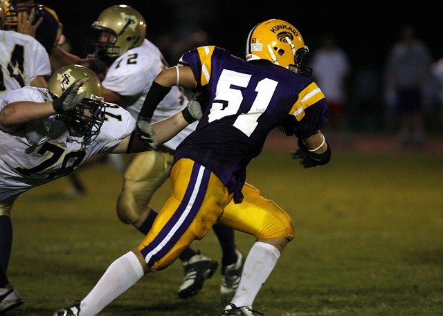 供了极大的 供了极大的