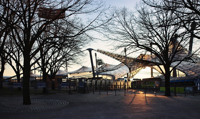 的比赛和意 的比赛和意