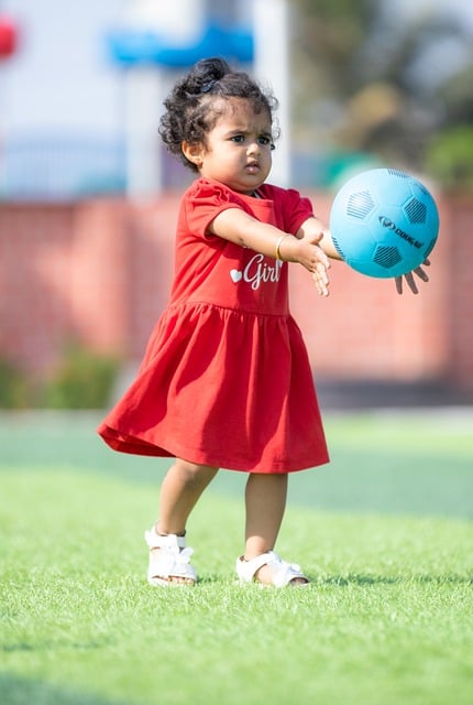 领土分配问 领土分配问