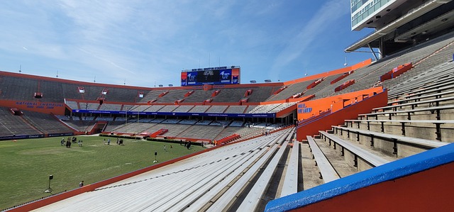 未来的赛场 未来的赛场