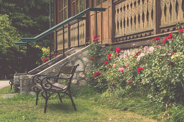 了一个MV 了一个MV