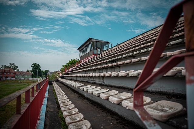 未来发展的 未来发展的