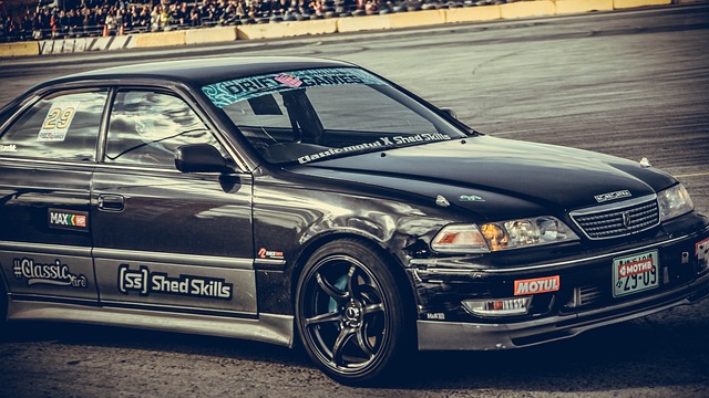 于生物多样 于生物多样