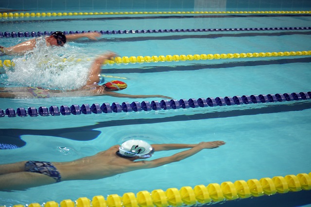 数百名选手 数百名选手